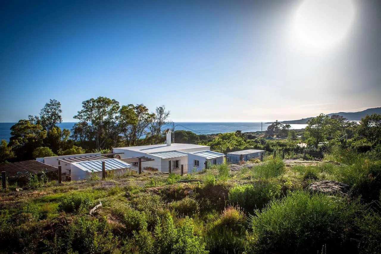 Wild House Tarifa Hostel