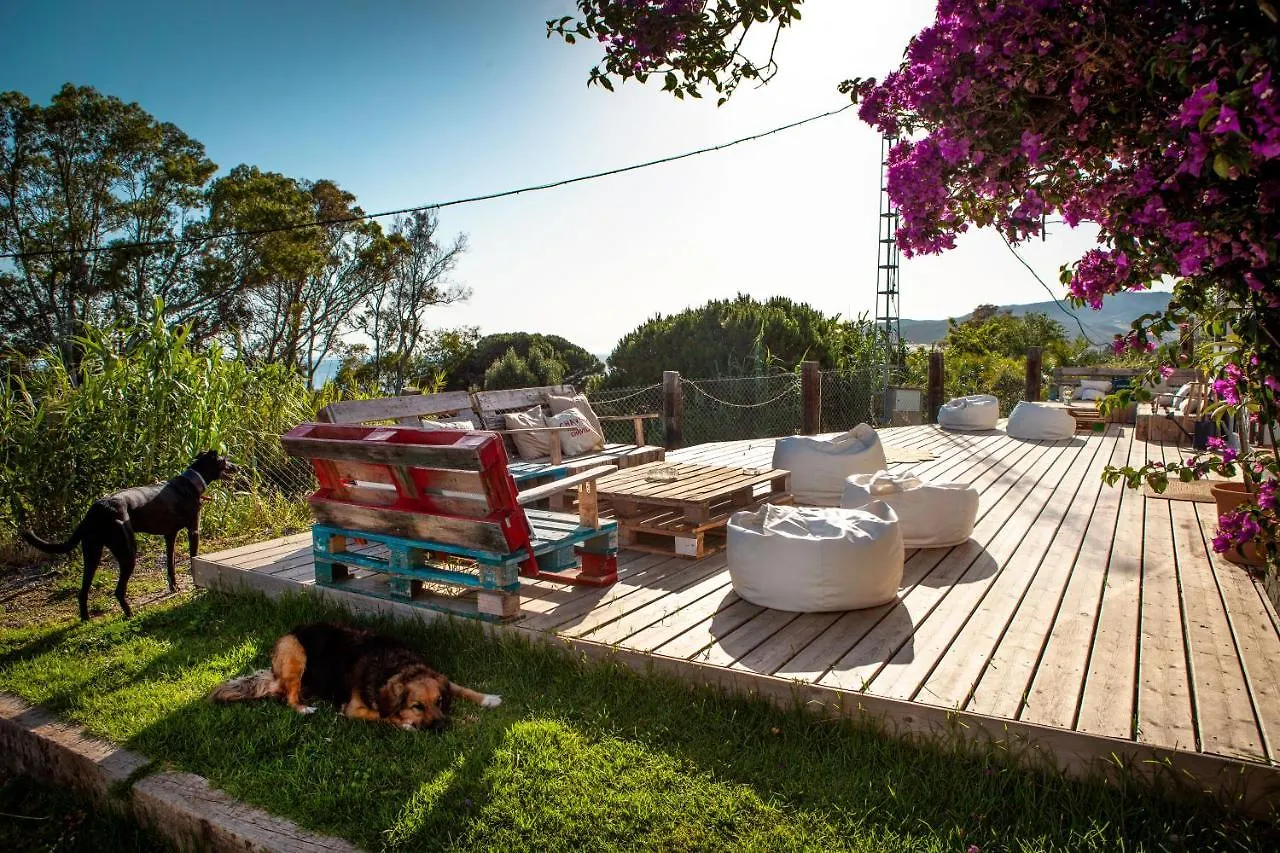 Wild House Tarifa Hostel 0*,  Spain