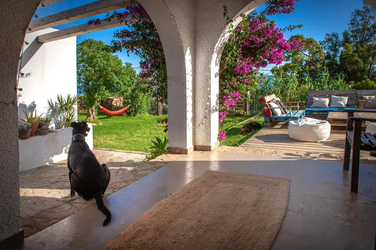 Hostel Wild House Tarifa Pansiyon