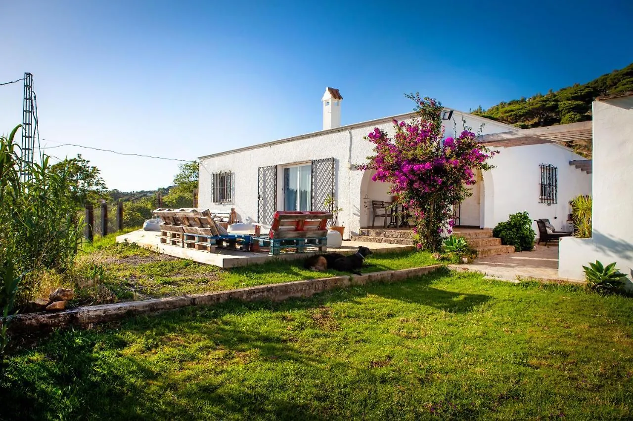 Wild House Tarifa Hostel