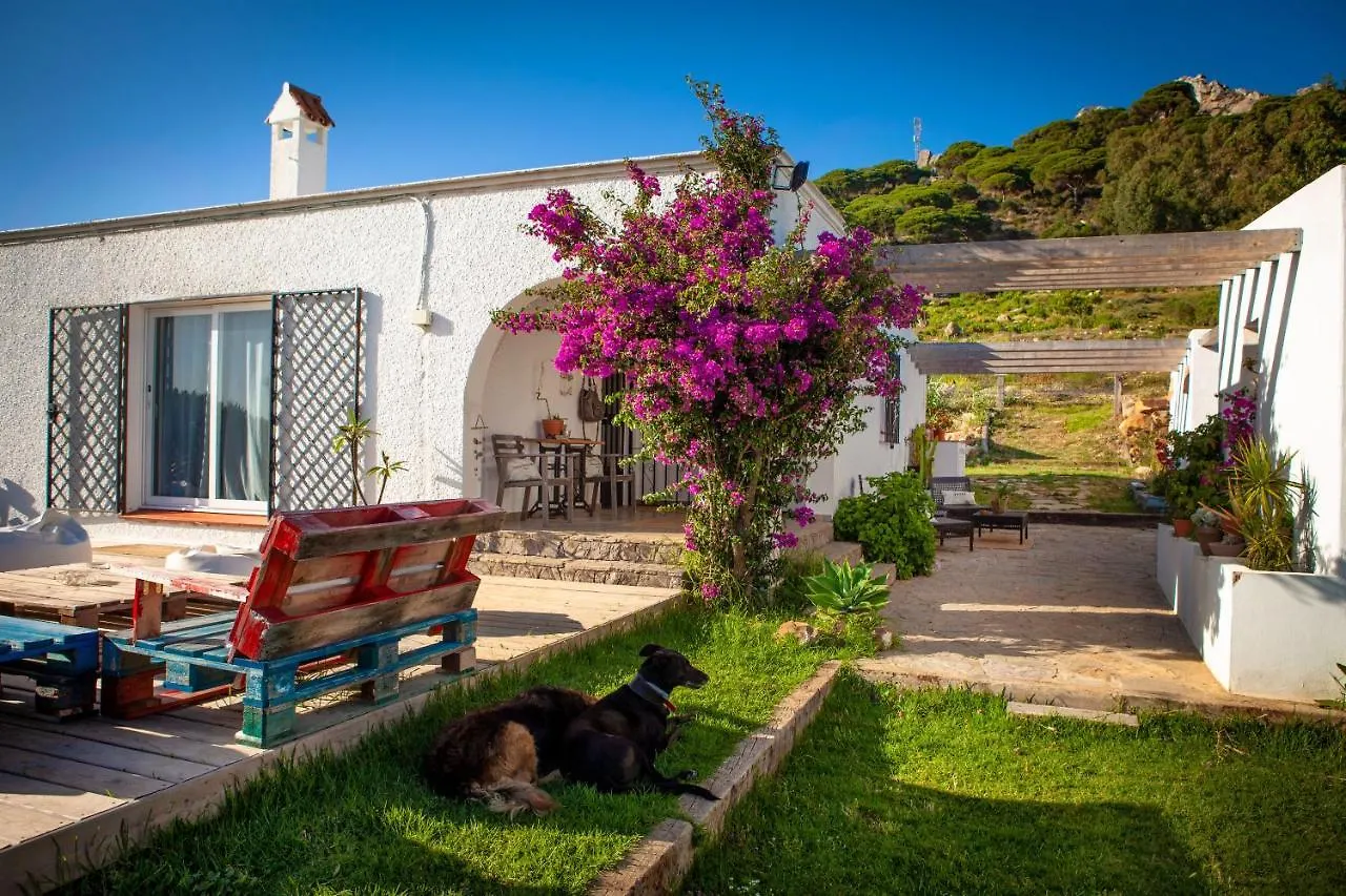 Wild House Tarifa Hostel Spain